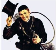 Brookline Top Hat Chimney Sweep MA